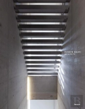 Salvi Architecture