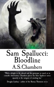 Sam Spallucci