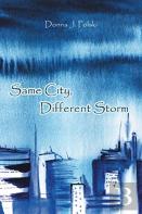 Same City, Different Storm