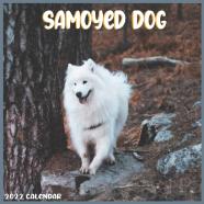 Samoyed Dog 2022 Calendar