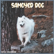 Samoyed Dog 2022 Calendar