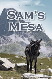 Sam'S Mesa