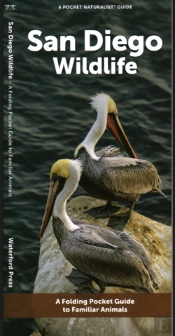Bertrand.pt - San Diego Wildlife