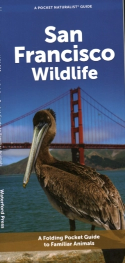 Bertrand.pt - San Francisco Wildlife