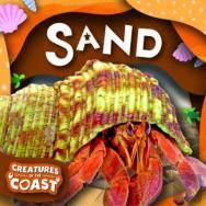 Sand