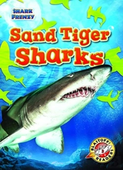 Bertrand.pt - Sand Tiger Sharks