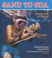 Sand To Sea
