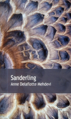 Bertrand.pt - Sanderling