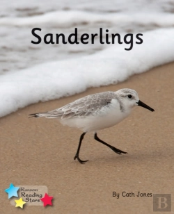 Bertrand.pt - Sanderlings