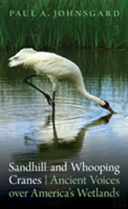 Bertrand.pt - Sandhill And Whooping Cranes