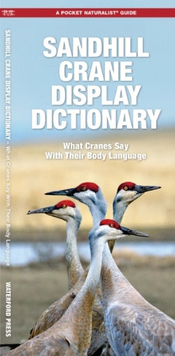 Bertrand.pt - Sandhill Crane Display Dictionary
