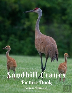 Bertrand.pt - Sandhill Cranes Picture Book