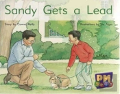 Sandy Gets A Lead