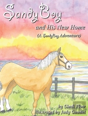 Sandyboy And His New Home  A Sandyboy Ad