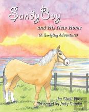Sandyboy And His New Home (A Sandyboy Adventure)