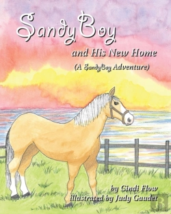 Bertrand.pt - Sandyboy And His New Home (A Sandyboy Adventure)