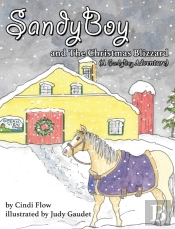 Sandyboy And The Christmas Blizzard  A S