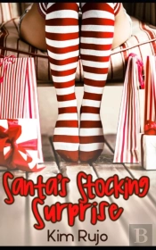 Santa'S Stocking Surprise