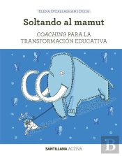 Santillana Activa Coaching Para La Transformacion Educativa