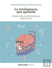 Santillana Activa La Inteligencia Que Aprende