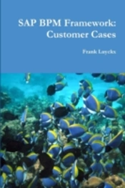 Sap Bpm Framework: Customer Cases