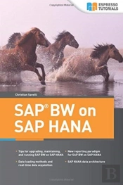Sap Bw On Sap Hana