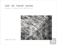 Sap In Their Veins
