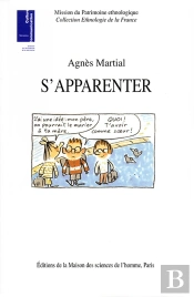 S'Apparenter ; Ethnologie Des Liens De Familles Recomposees