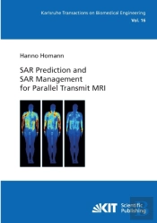 Sar Prediction And Sar Management For Parallel Transmit Mri