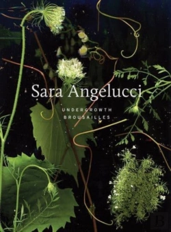 Bertrand.pt - Sara Angelucci: Undergrowth / Brousailles
