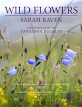 Sarah Raven'S Wild Flowers