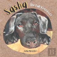 Sasha The Lab Retriever