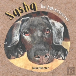 Bertrand.pt - Sasha The Lab Retriever