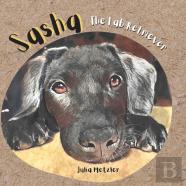 Sasha The Lab Retriever