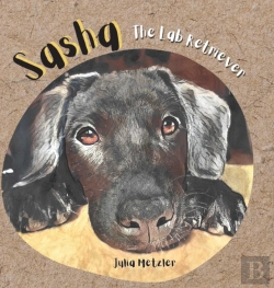Bertrand.pt - Sasha The Lab Retriever