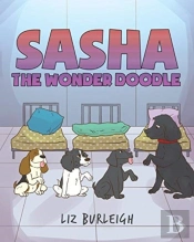 Sasha The Wonder Doodle