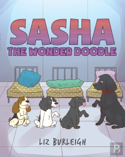 Bertrand.pt - Sasha The Wonder Doodle