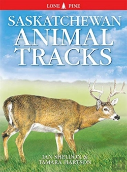 Bertrand.pt - Saskatchewan Animal Tracks