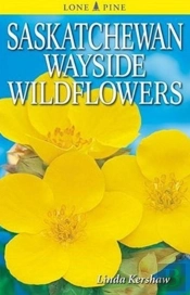 Saskatchewan Wayside Wildflowers