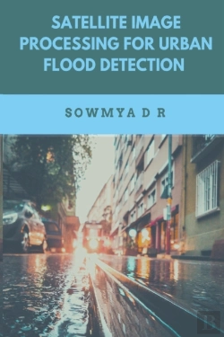 Bertrand.pt - Satellite Image Processing For Urban Flood Detection