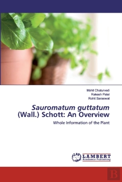 Bertrand.pt - Sauromatum Guttatum (Wall.) Schott