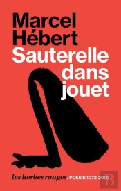 Sauterelle Dans Jouet