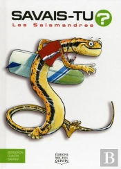 Savais-Tu ? : Les Salamandres