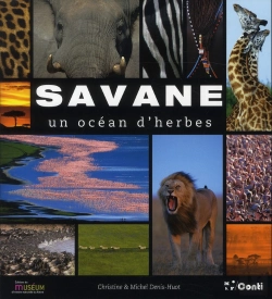 Bertrand.pt - Savane, Un Océan D'Herbes