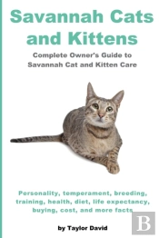 Savannah Cats And Kittens