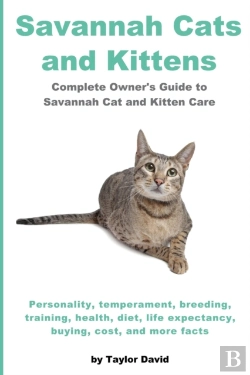Bertrand.pt - Savannah Cats And Kittens