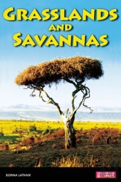 Savannas And Grasslands
