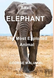 Save  Elephant - The Most Exploited Animal