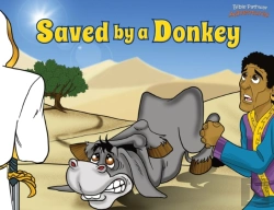 Bertrand.pt - Saved By A Donkey