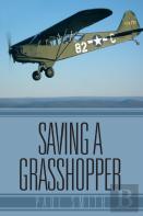 Saving A Grasshopper